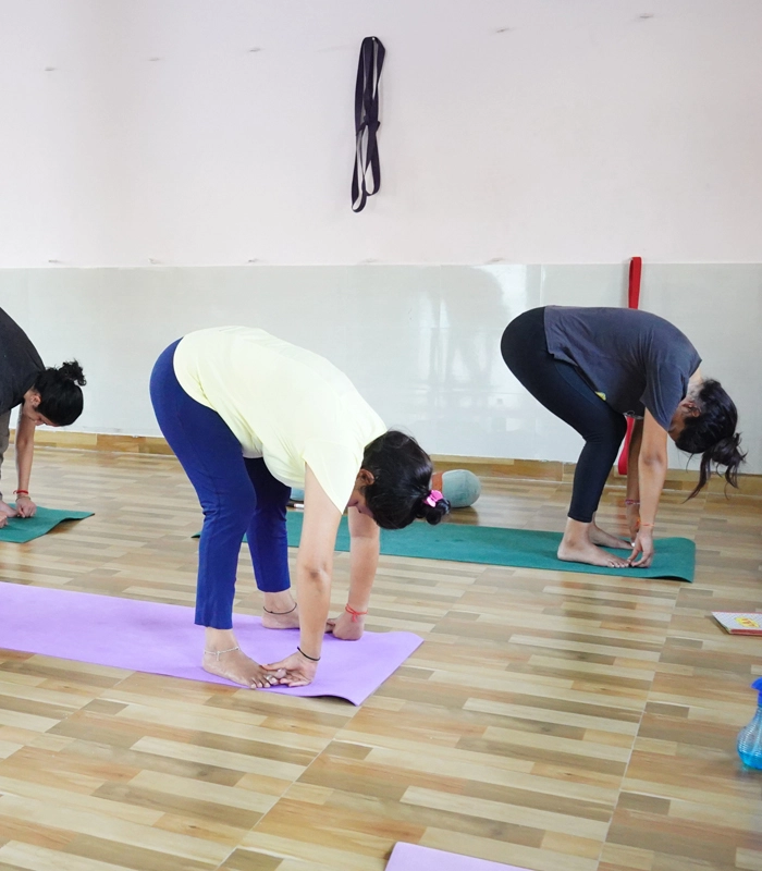 200 hours yoga teacher training course